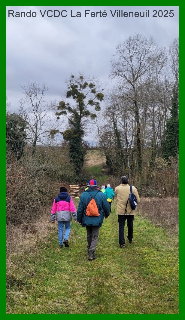 20250130 151508 1k jpeg