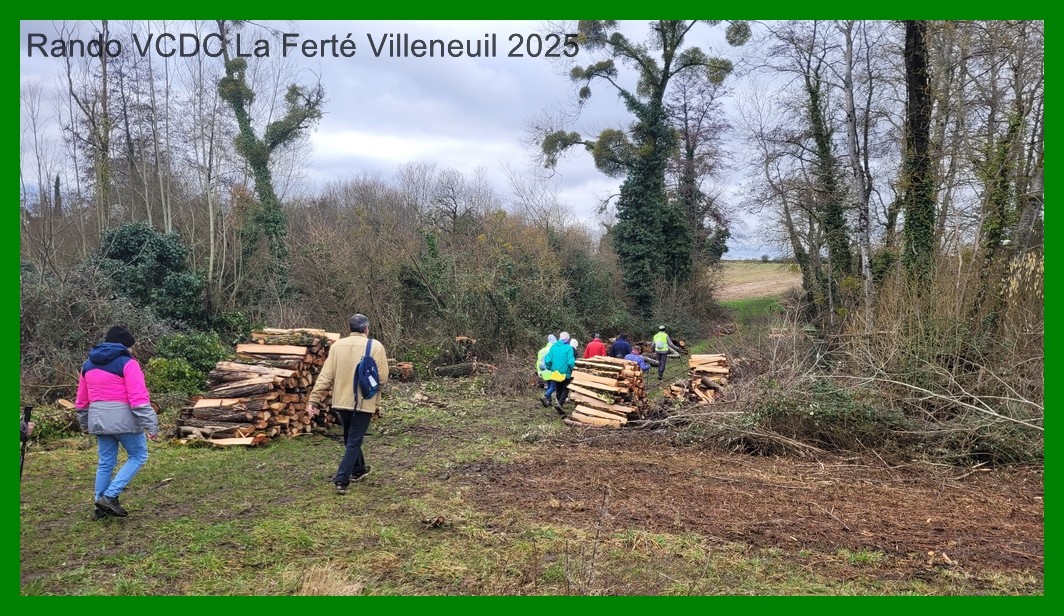 20250130 151541 1k jpeg