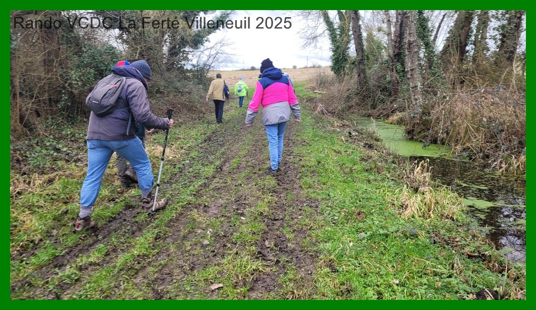 20250130 151649 1k jpeg