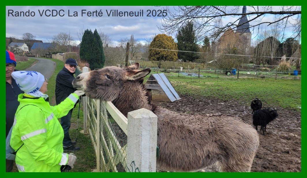 20250130 161514 1k jpeg