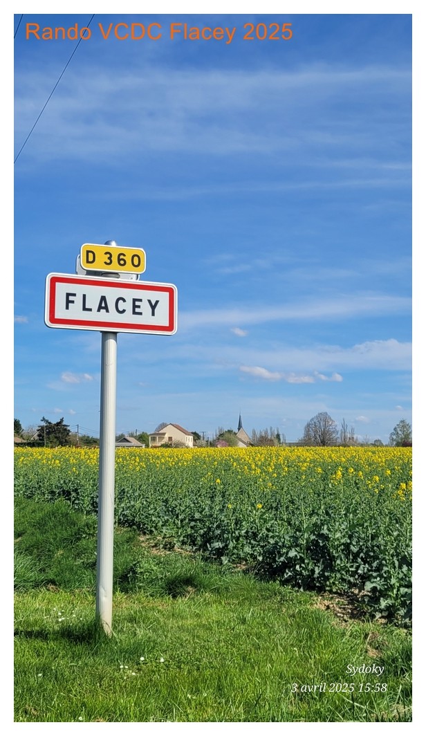 Flacey 2025