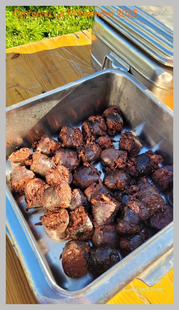 La Printanière 2025