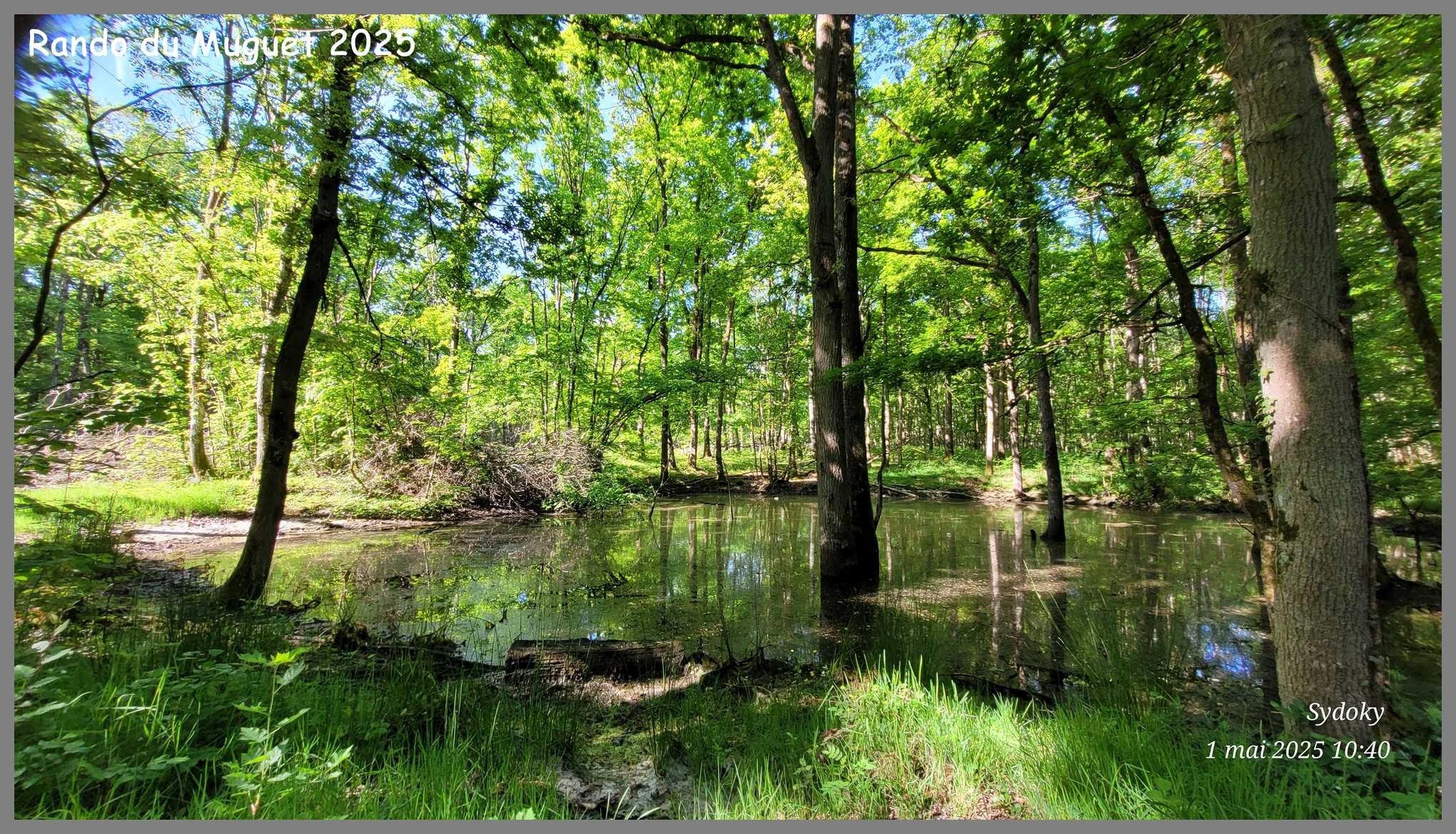 Rando du Muguet à Bonneval