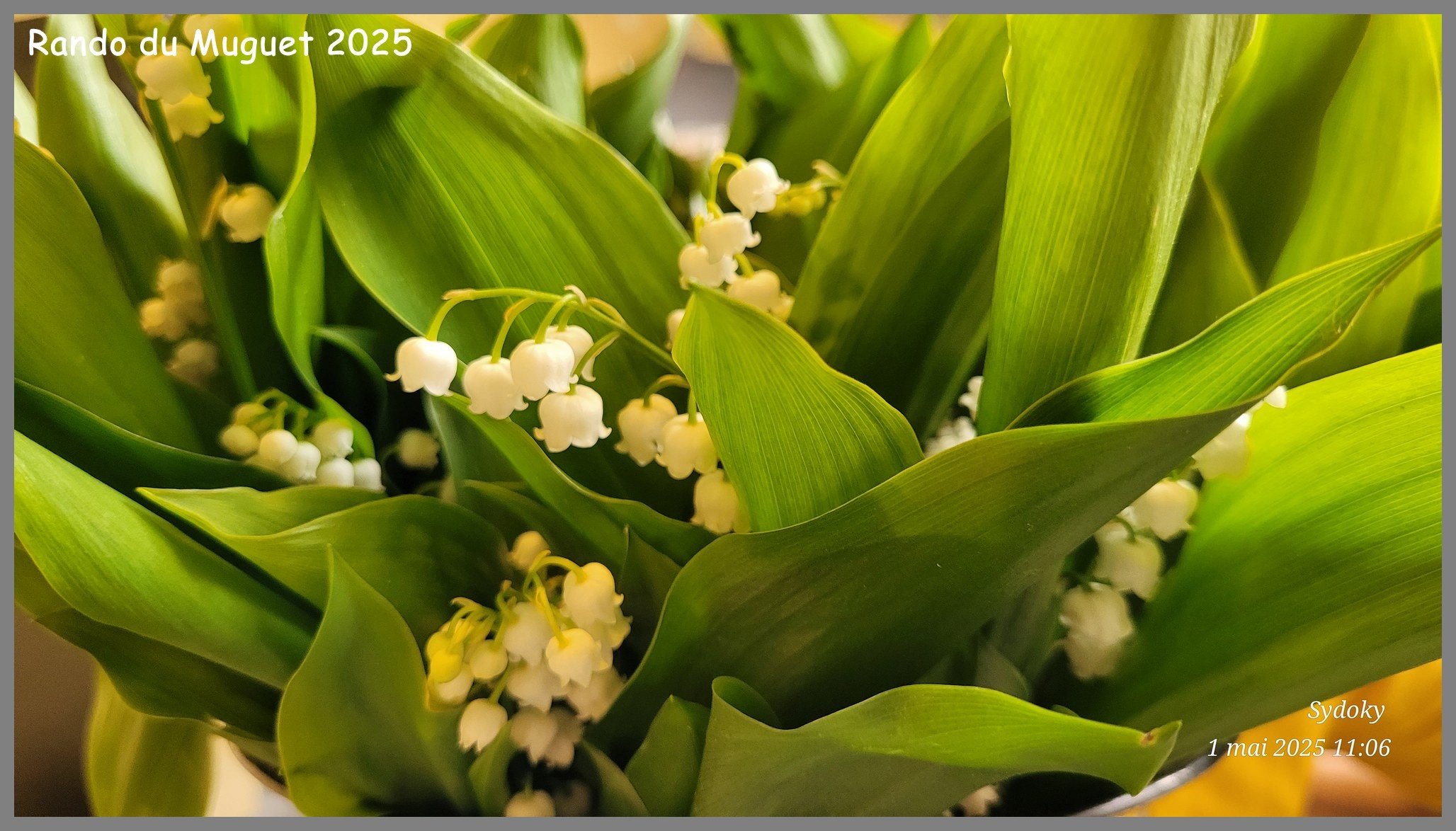 Rando du Muguet à Bonneval