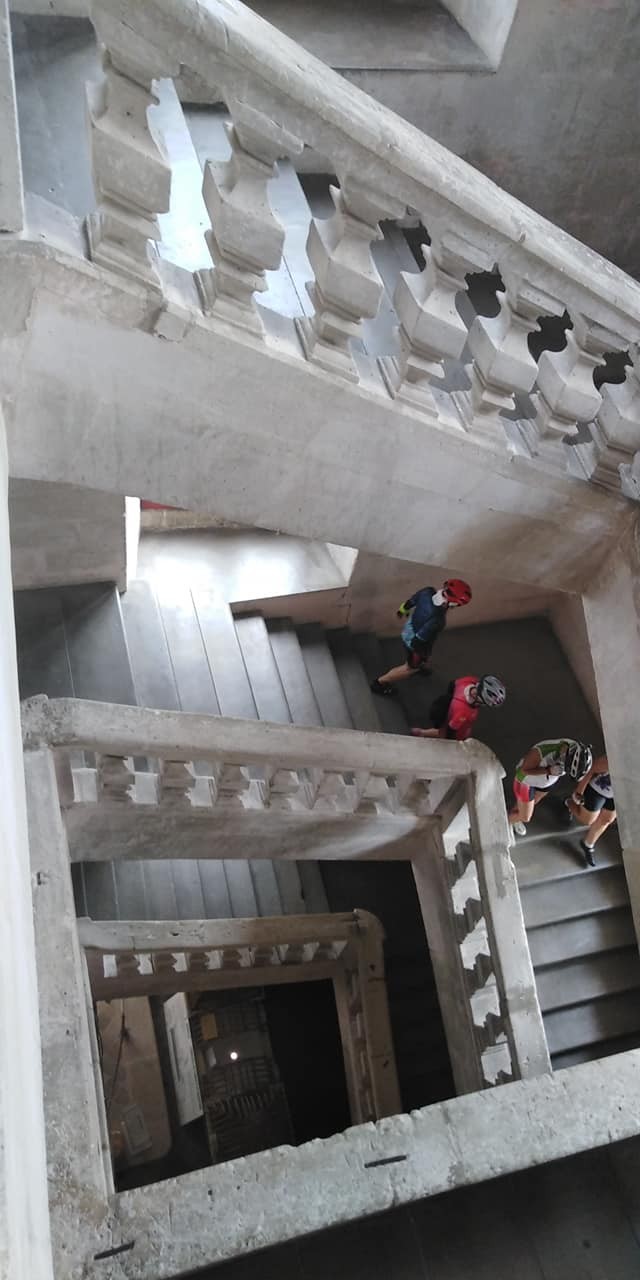 241634730 10215769607791658 3453502112523880667 n