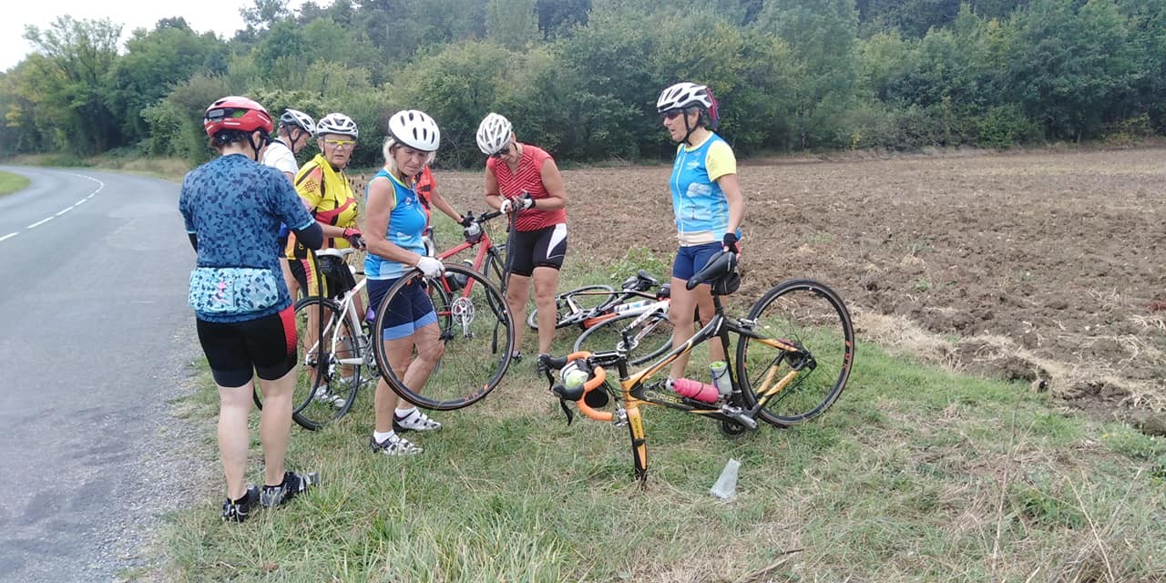 241653979 10215772862193016 2530370532469391586 n