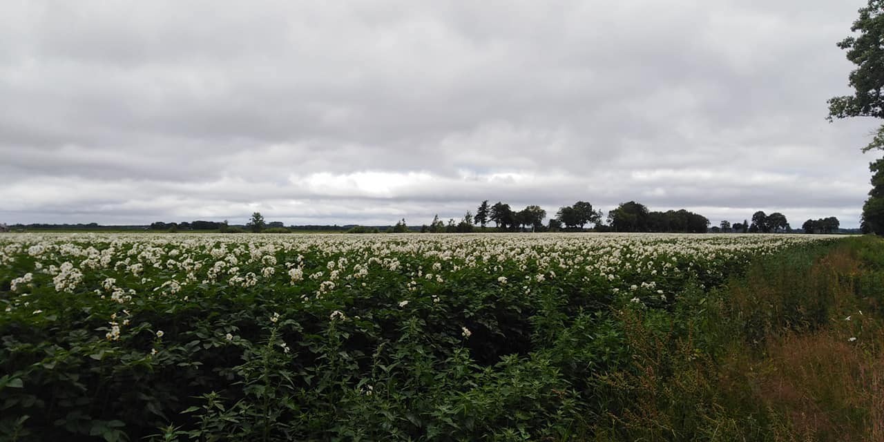 293368239 561663692325113 9051164149697488369 n