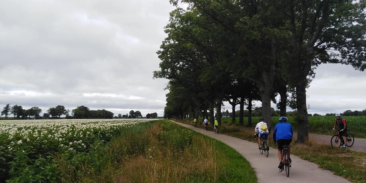 293394306 561663778991771 6704774538886877501 n