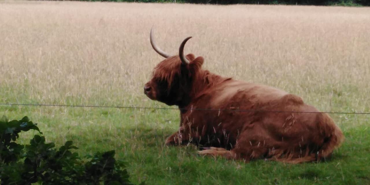 293400701 561701078988041 209666077718872499 n