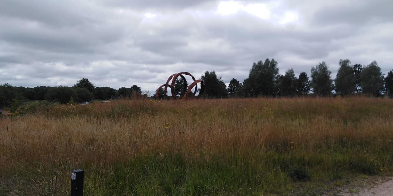 293533812 561665228991626 2237212013771536412 n