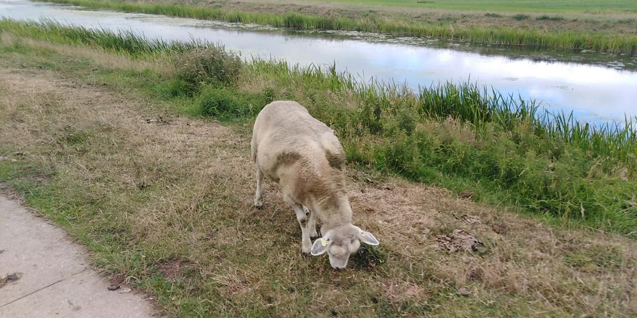 293563070 561663902325092 1647602197909509037 n