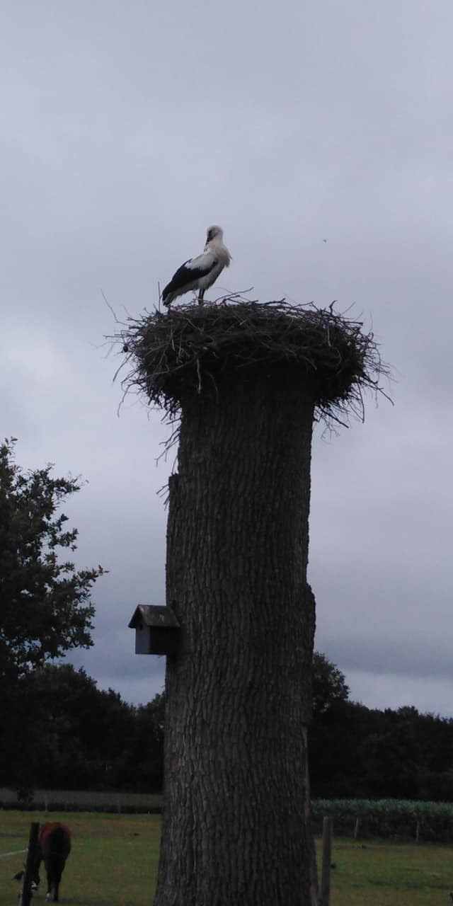 293575589 561663515658464 774294761503394186 n