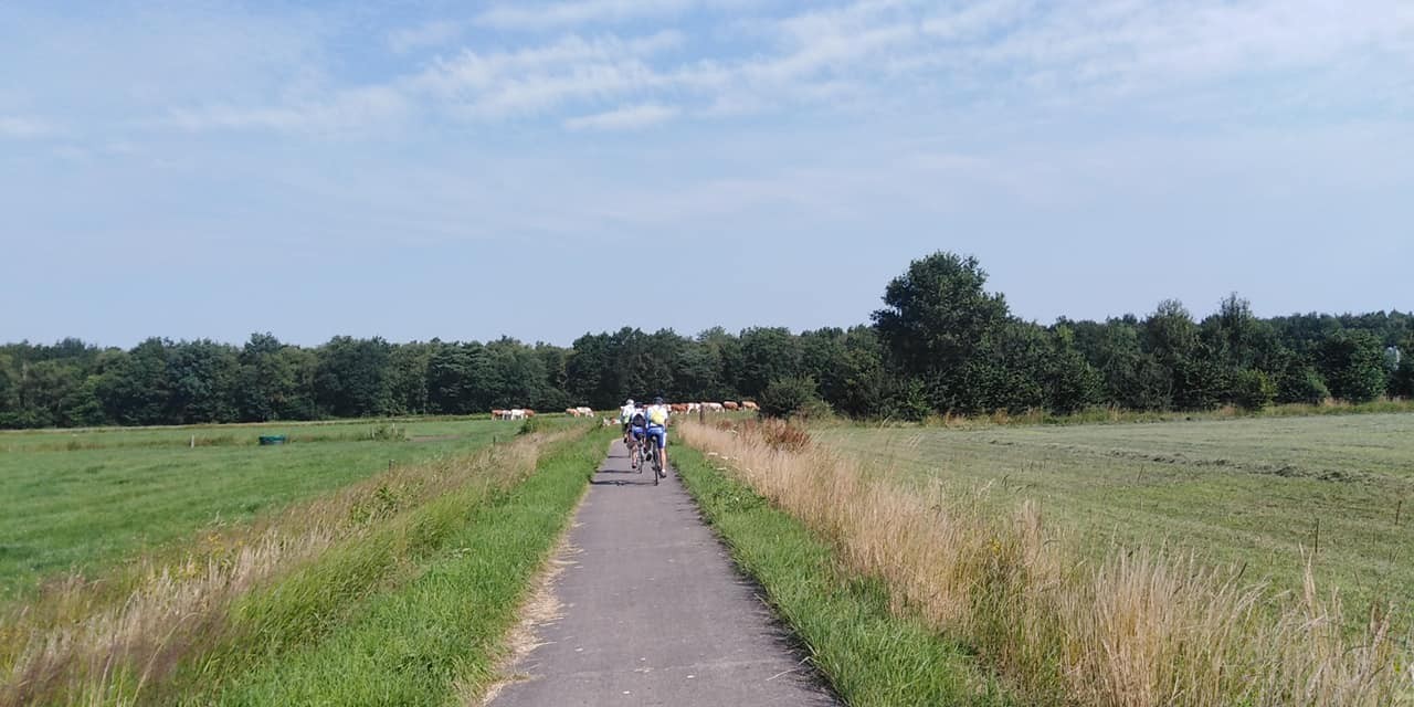 293583874 562507125574103 2357526952086363433 n