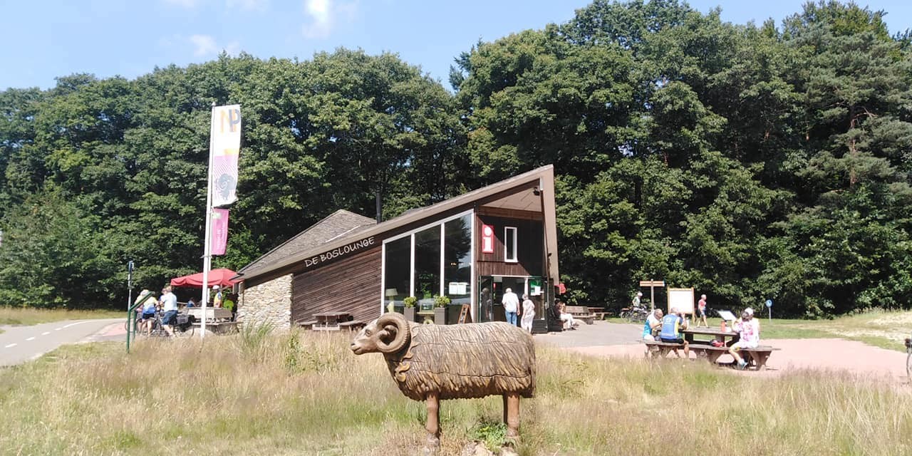 293604072 562508222240660 6329087715028390015 n