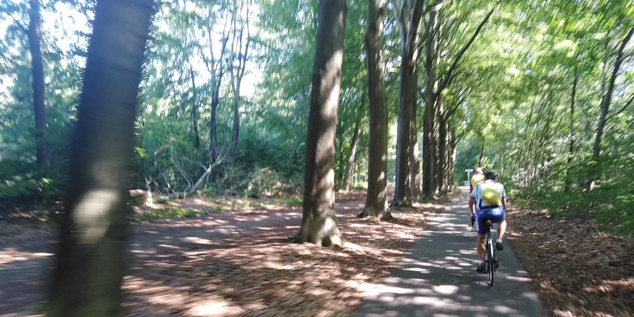 293675253 562507355574080 3198928239982359003 n