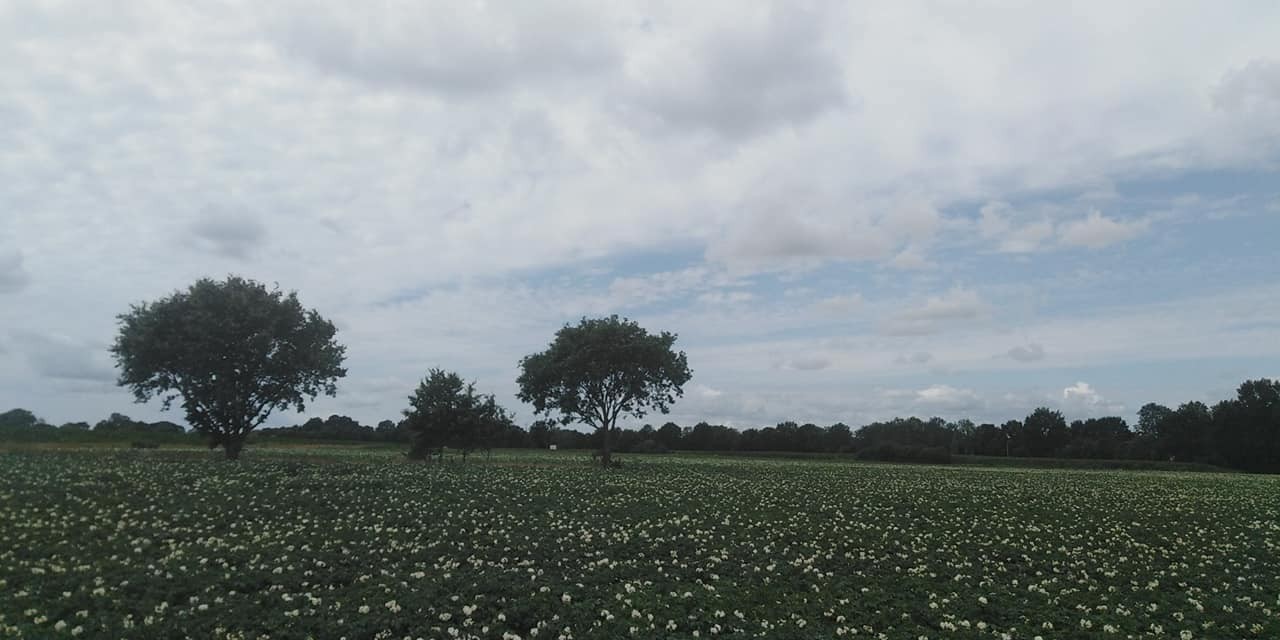 293842159 563220678836081 9120662456683152543 n