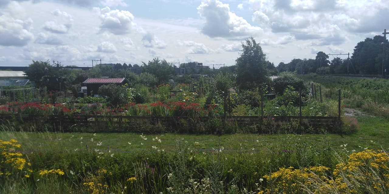 293847813 563220935502722 4754471351993057465 n