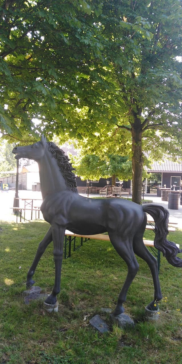 293871618 562507638907385 506671276138842609 n