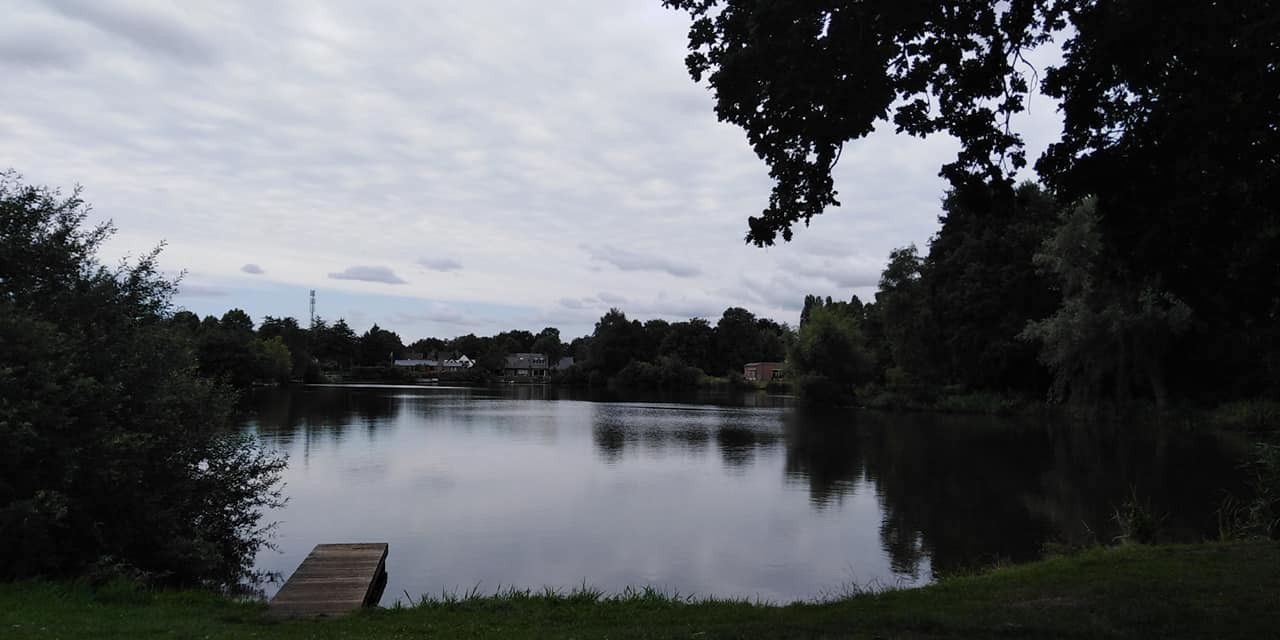 293916695 563220468836102 4635738019685064820 n