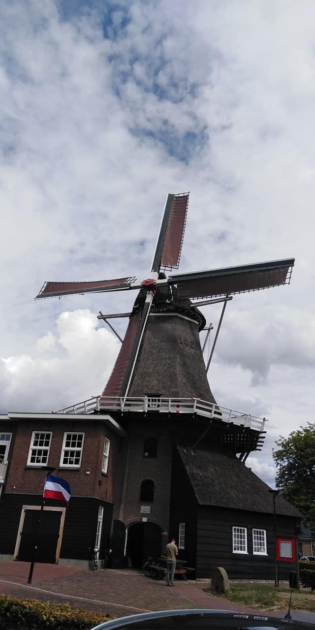 293928779 563888055436010 6328315477627954682 n