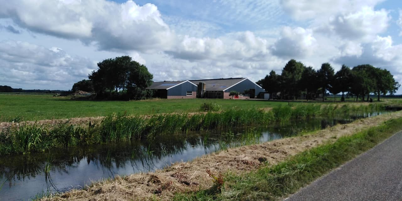 293946888 563219108836238 2928202918502260357 n