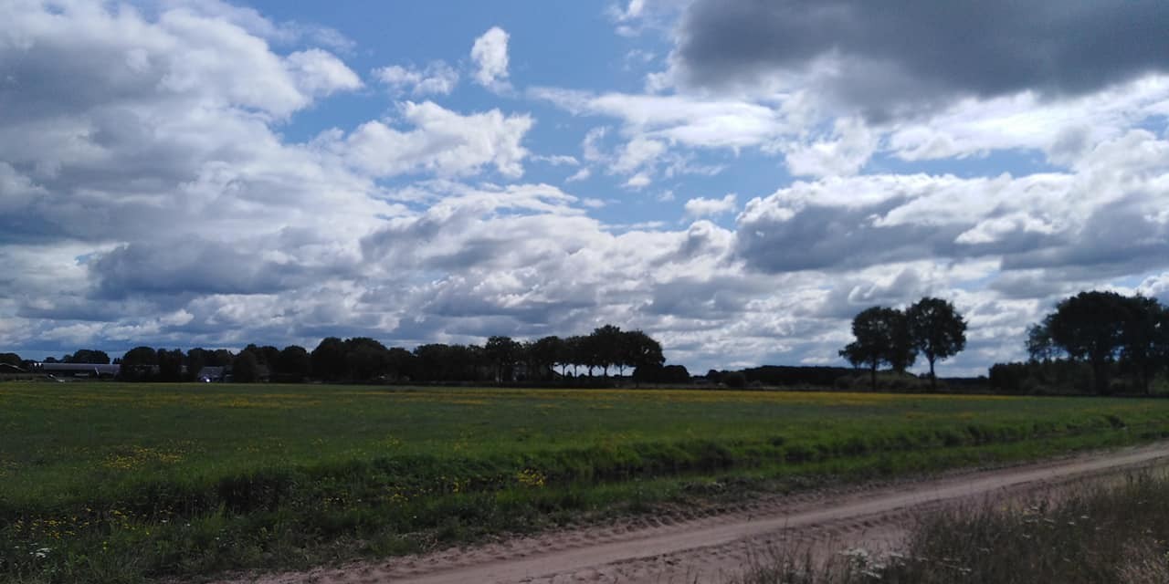 293988119 563886188769530 632889115593574434 n