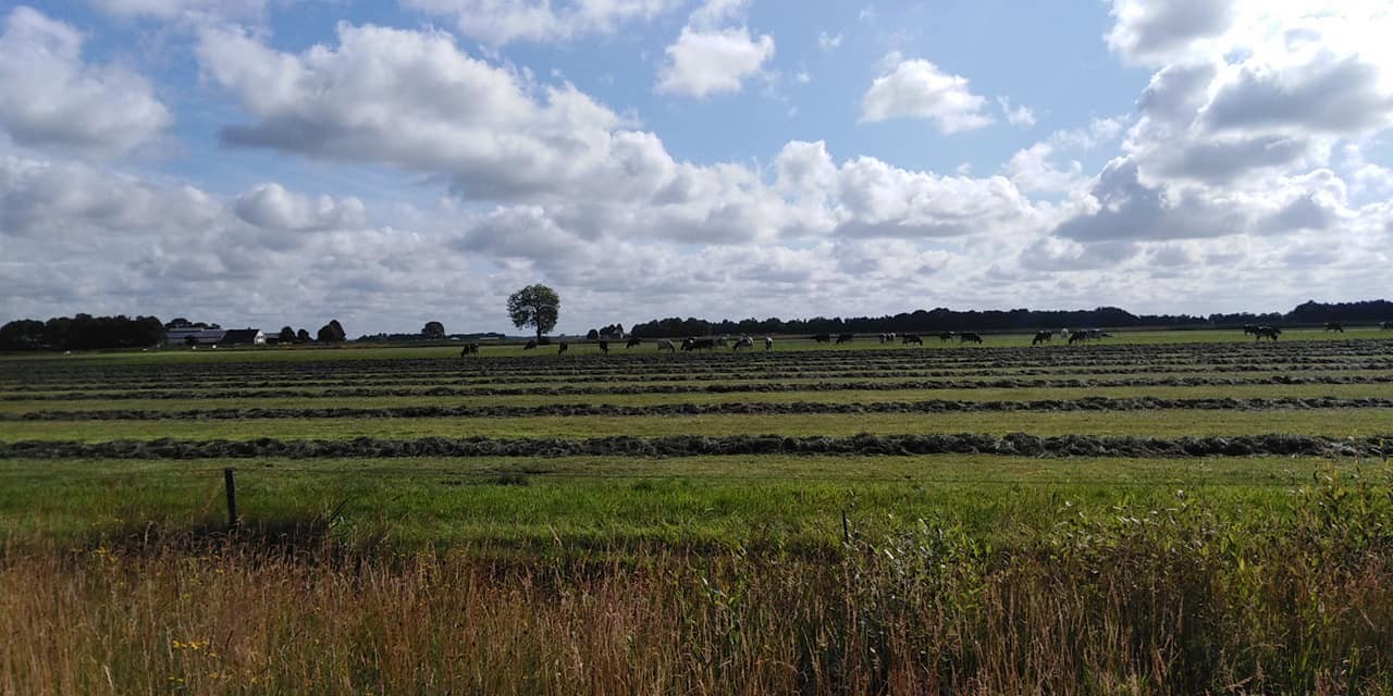 294006654 563219058836243 3177209003254936727 n