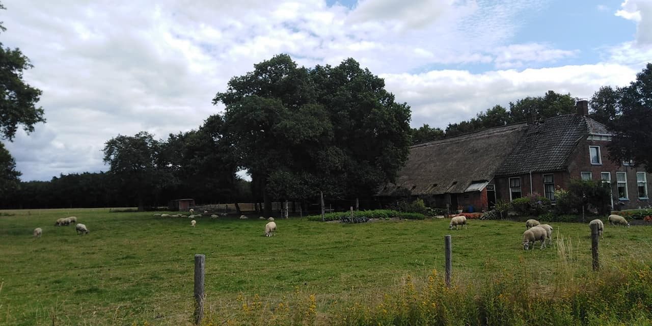 294027703 563887668769382 833660835919795257 n