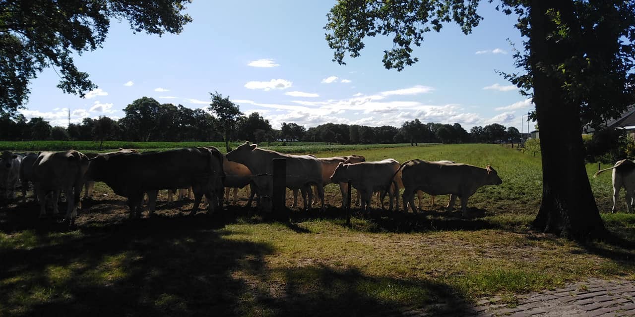 294028452 563885278769621 2680225759113296485 n