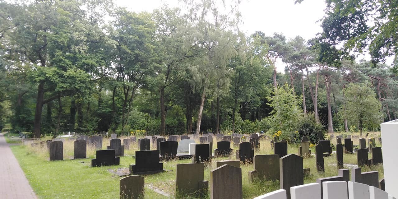 294030069 563887762102706 8024250085417798779 n