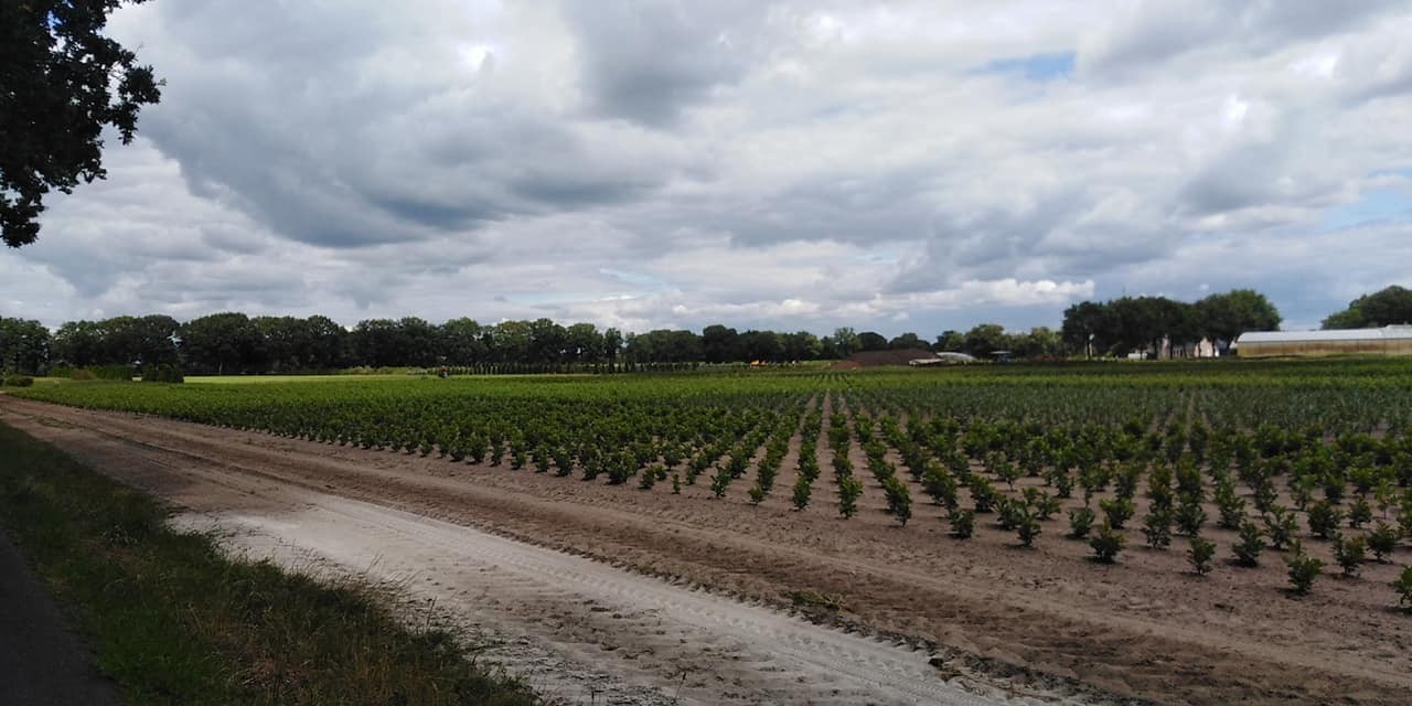 294056734 563887368769412 551121044607883670 n