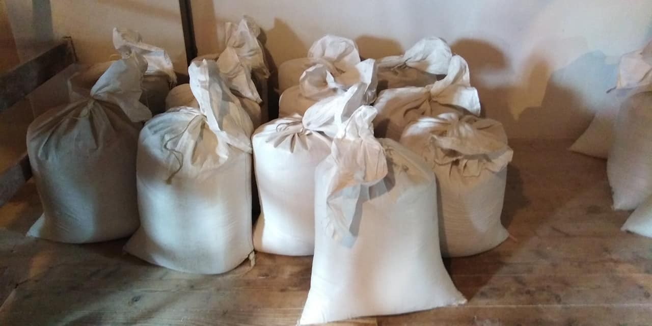 294069882 563888152102667 6910868358893088733 n