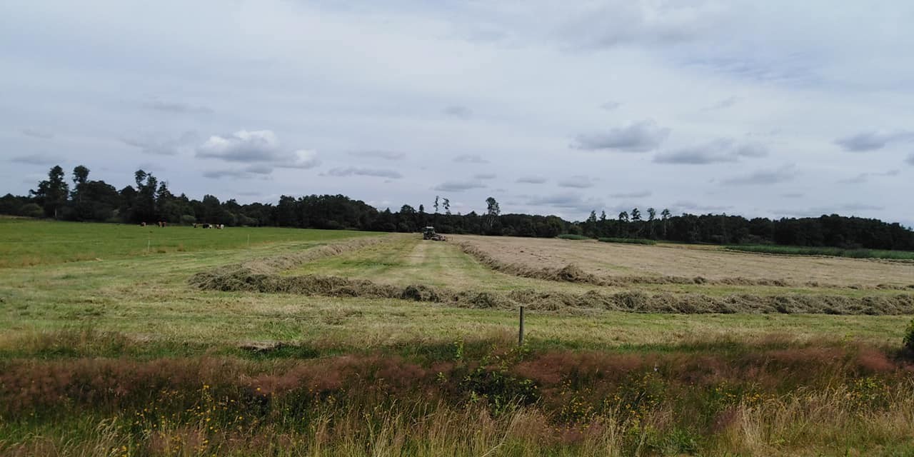 294095069 563219768836172 7766823638476901509 n