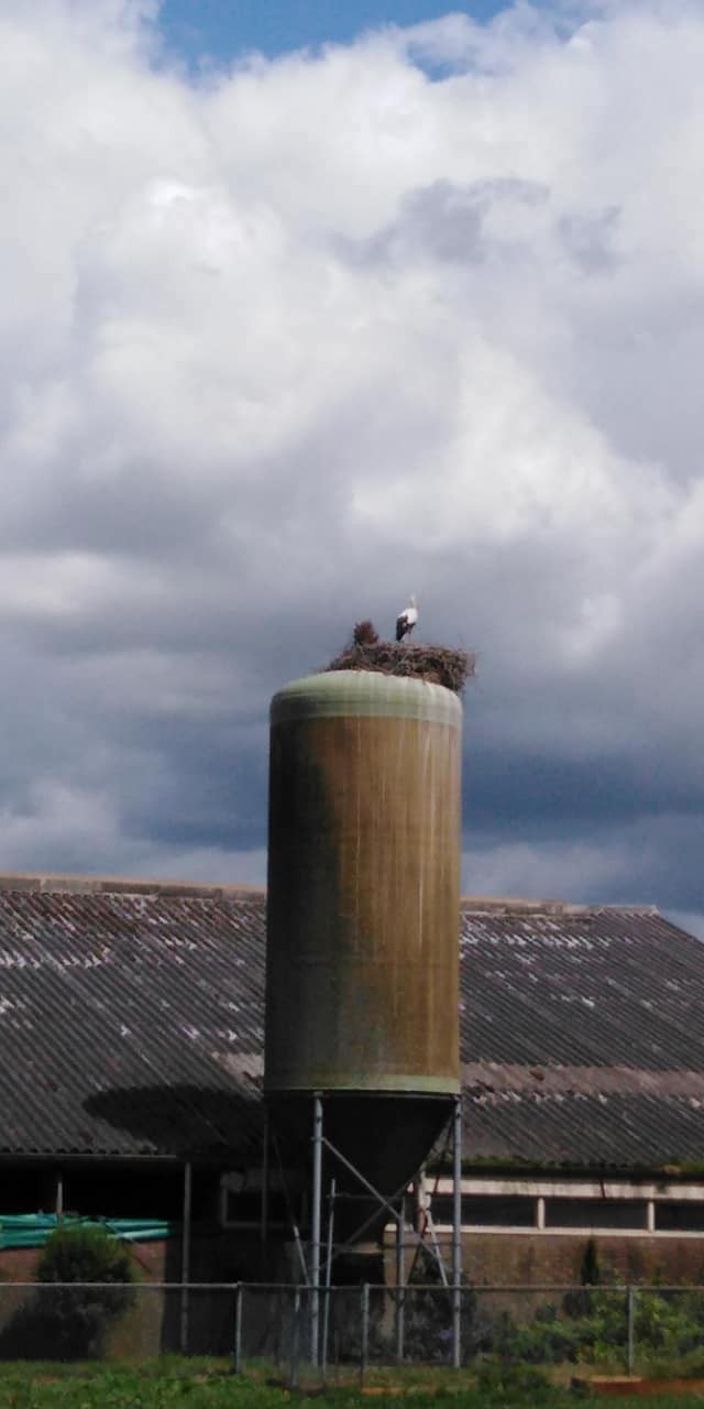 294119168 563887875436028 3221611540380563131 n