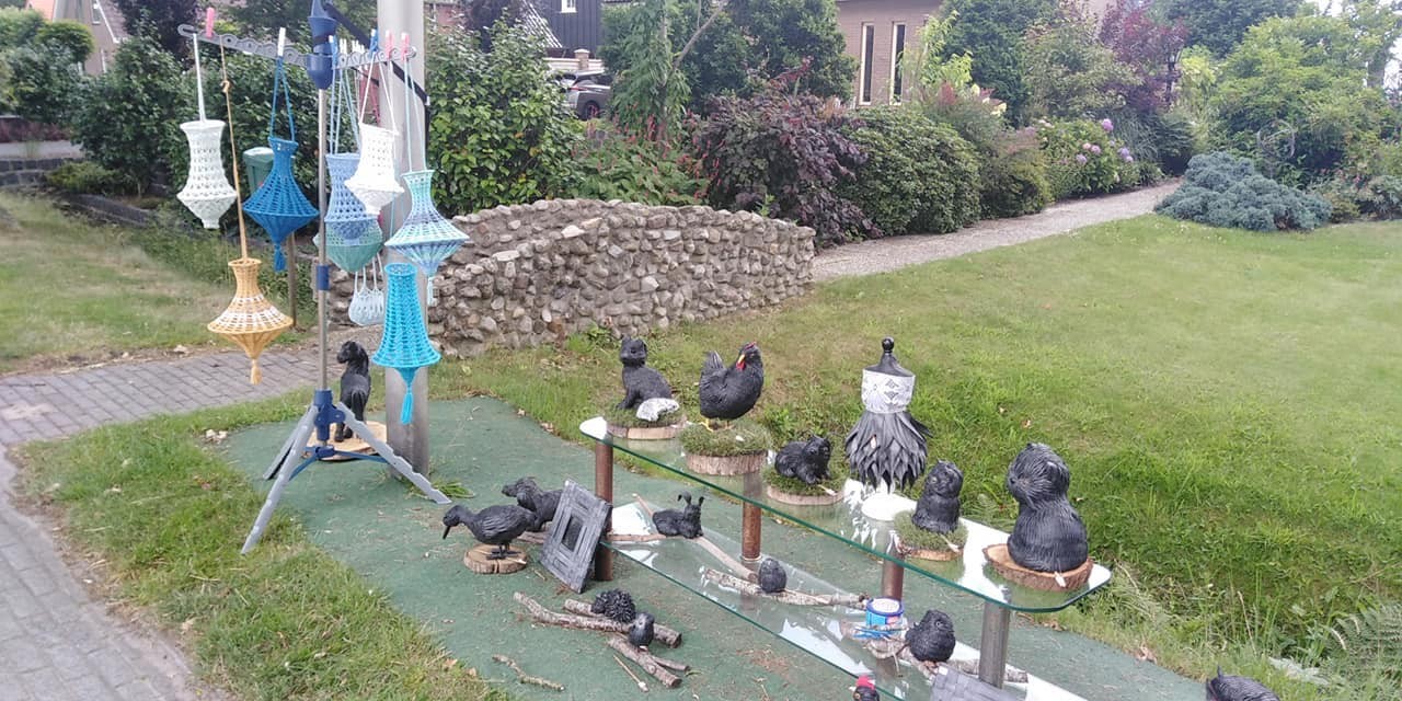 294233039 563887062102776 6528324456774997563 n