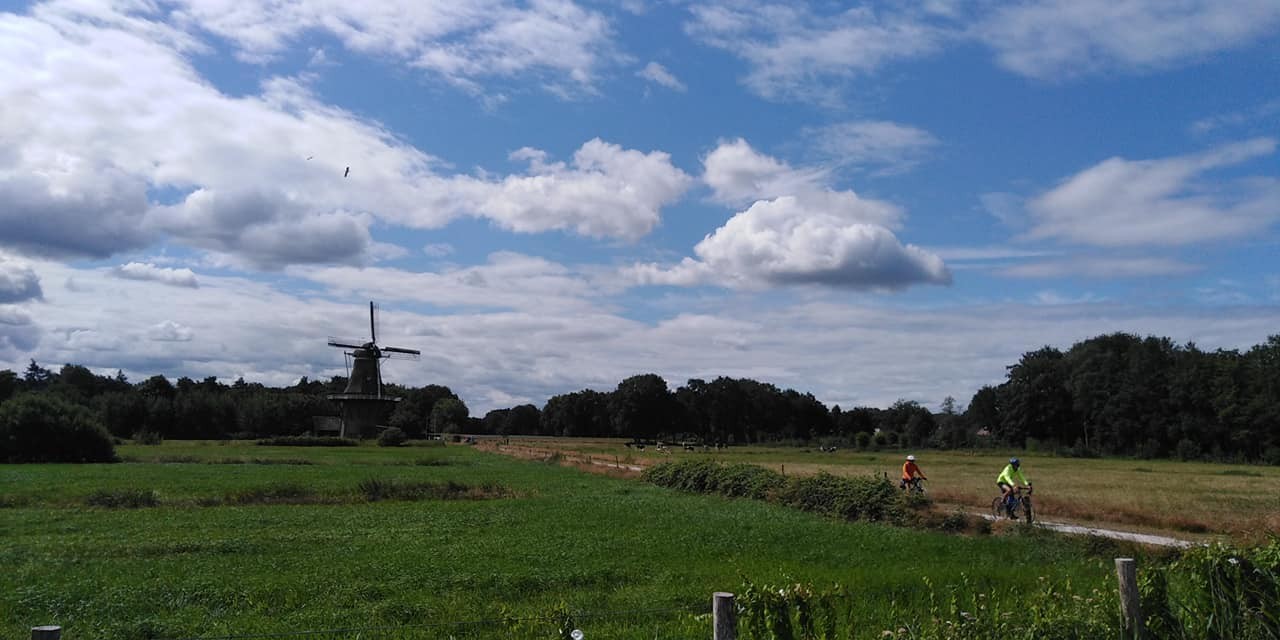 294258376 563886592102823 3659610503773713546 n