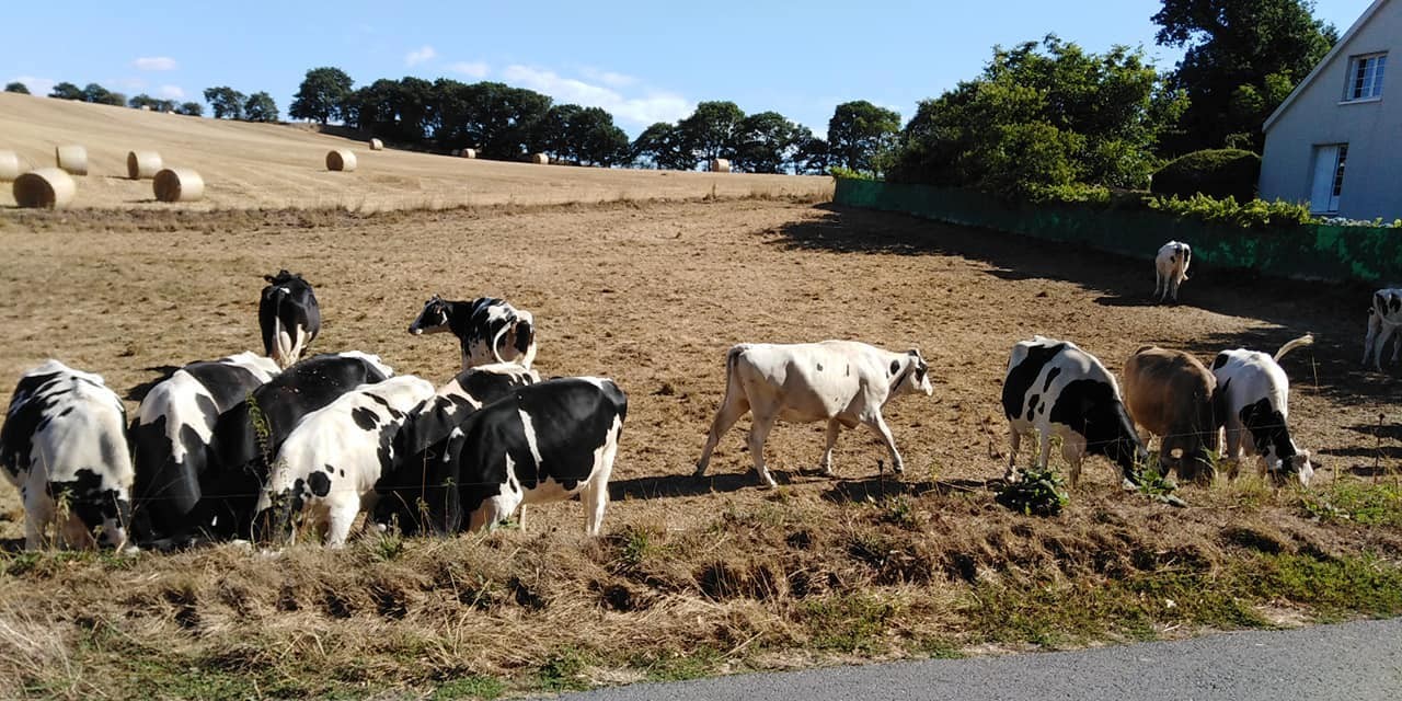 297802106 578037394021076 3154390960448508150 n