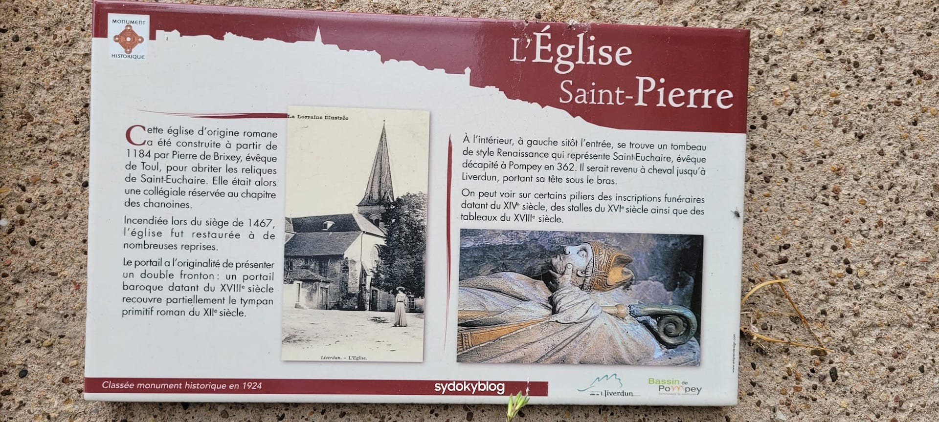 362966628 800563101768503 187335249000008011 n