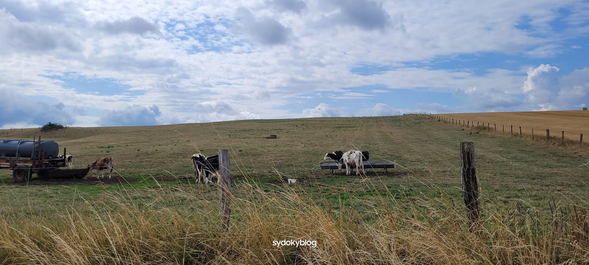 363387785 801427008348779 3577592115308953402 n