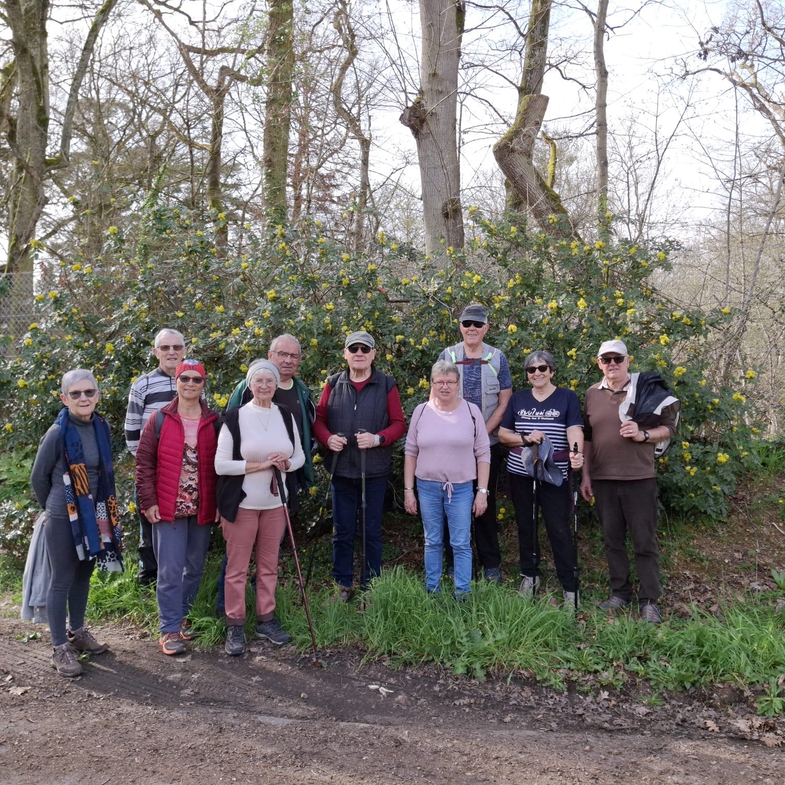 64d24083 b154 496d 8c3f 73db428d21ce